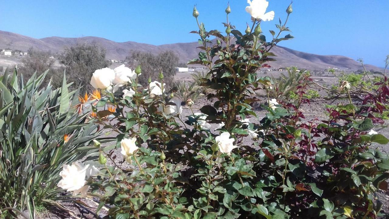 Finca Los Rosales Lajita Eksteriør billede