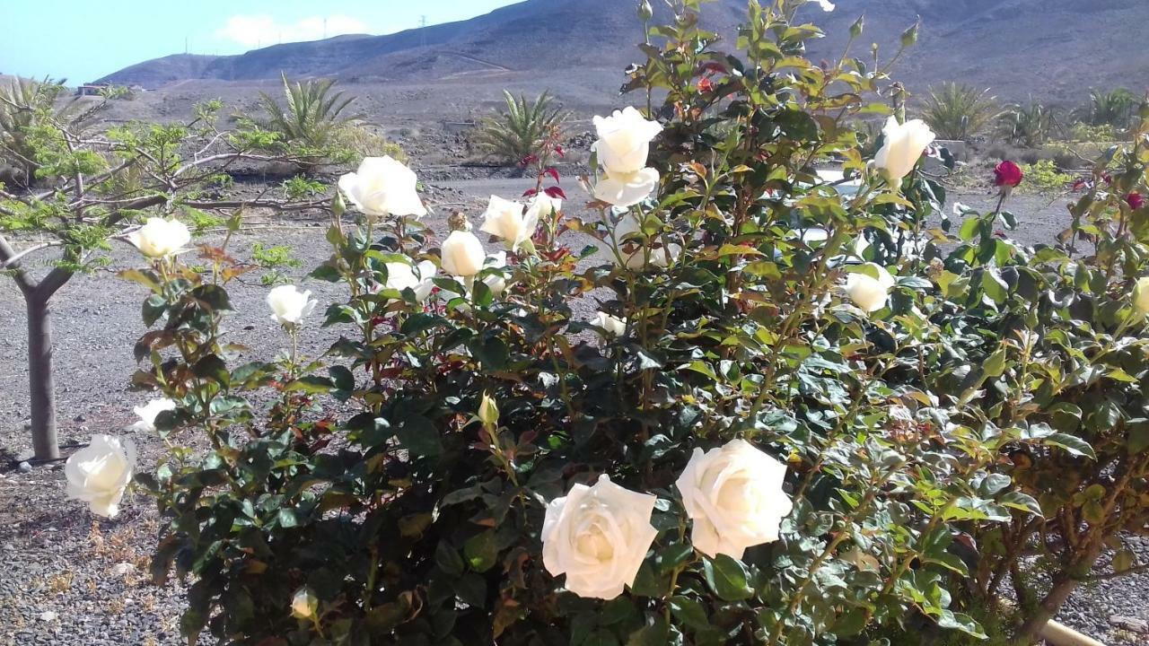 Finca Los Rosales Lajita Eksteriør billede